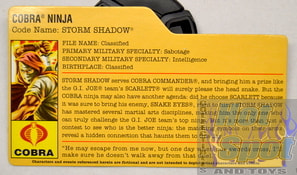Cobra Storm Shadow File Card
