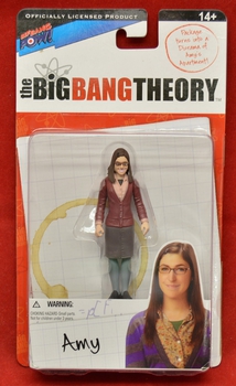 Big Bang Theory Amy