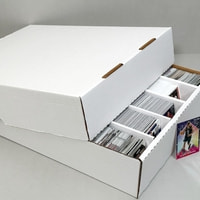 5000 Count Storage Box (Full Lid) by BCW