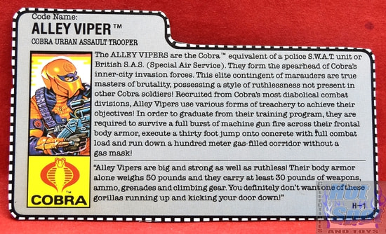 1989 Alley Viper File Card