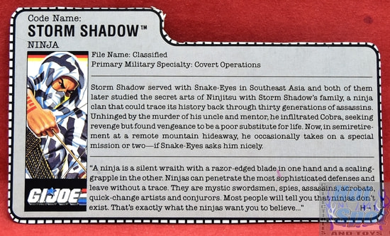 1988 Storm Shadow File Card