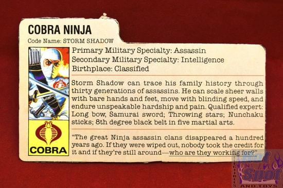Brown Eyes gi joe Cobra De Hielo Storm Shadow 1984 vintage argentina plastirama