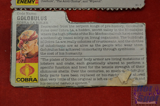 1987 Goloubus File Card