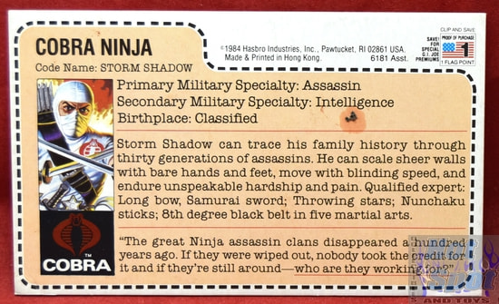 1984 Cobra Ninja Storm Shadow File Card
