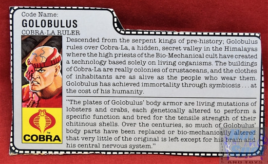 1987 Golobulus Cobra La Ruler File Card