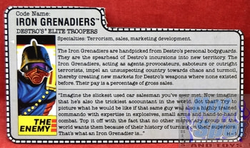 1988 Iron Grenadiers File Card