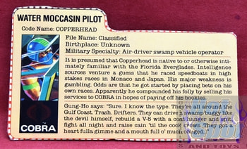 1984 Copperhead Water Moccasin Pilot File Card