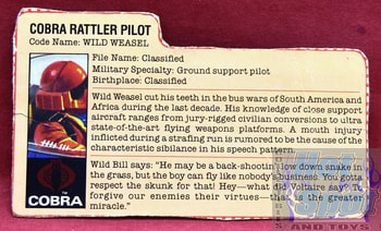 1984 Wild Weasel Cobra Rattler Pilot