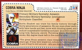 1984 Cobra Ninja Storm Shadow File Card