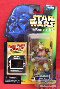 Freeze Frame Gamorrean Guard Figure (2)