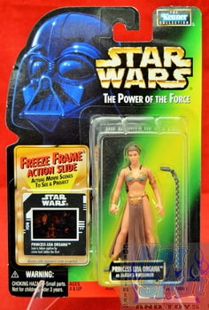 Freeze Frame Princess Leia Organa Action Figure