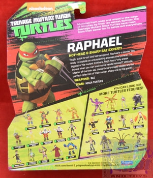 Raphael Hot Head & Sharp Sai Expert